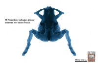 Curiosities and bonus pictures