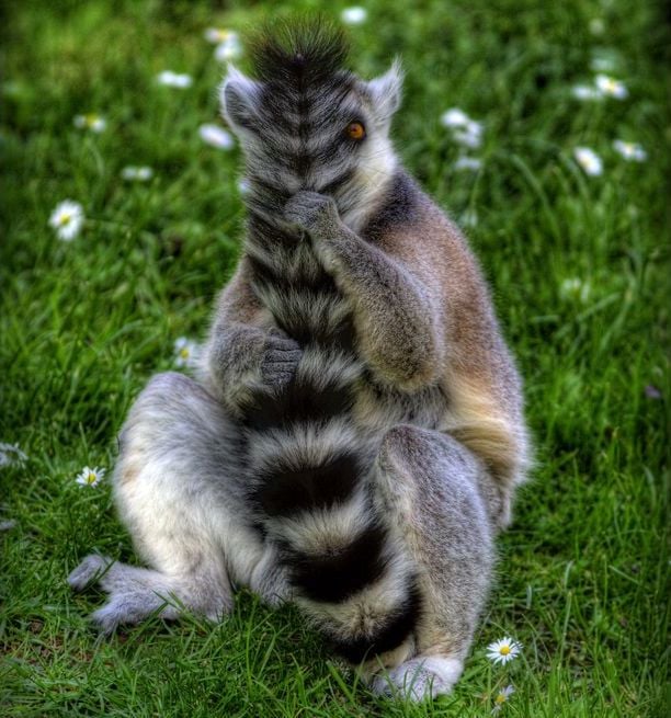 Funny picdump (146 pics)