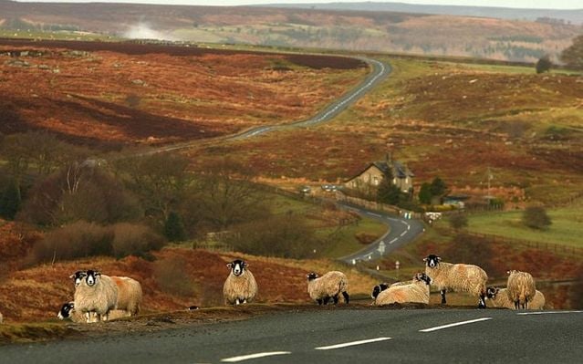 Funny picdump (146 pics)