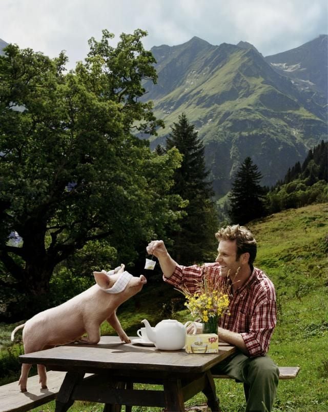 Funny picdump (146 pics)