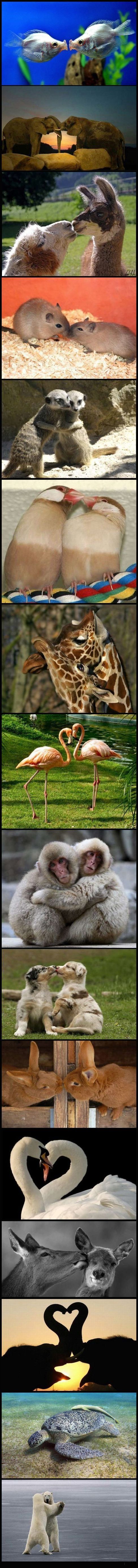 Funny picdump (146 pics)