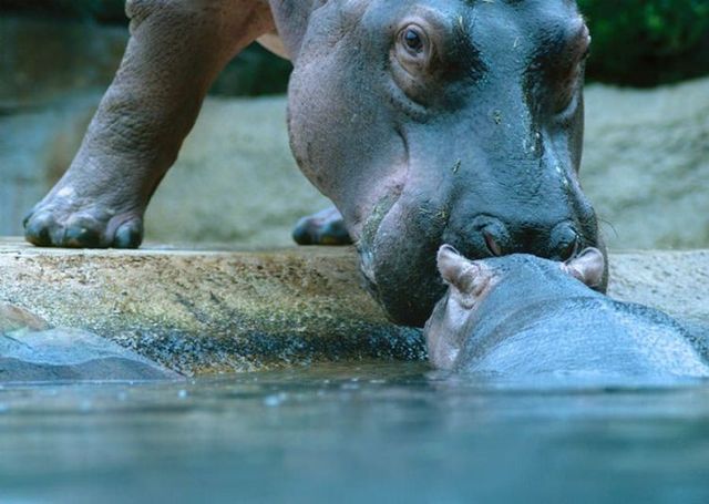 Funny picdump (146 pics)