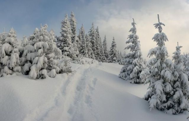 Funny picdump (146 pics)