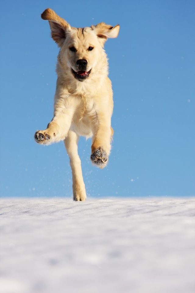 Funny picdump (146 pics)