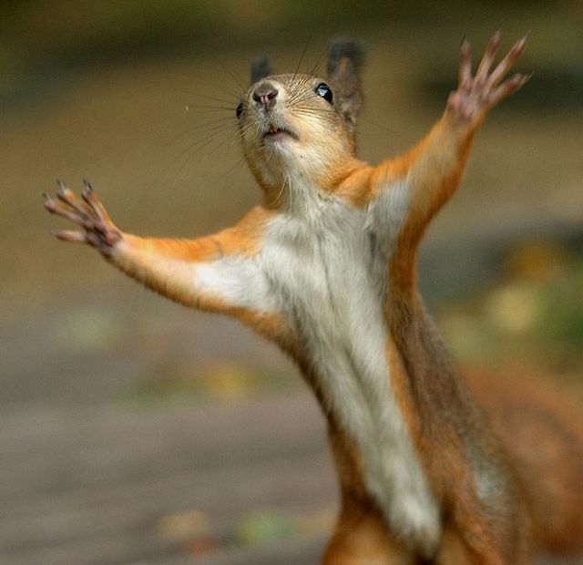 Funny picdump (146 pics)