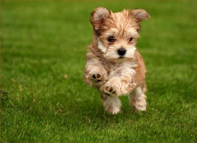 Funny picdump (146 pics)