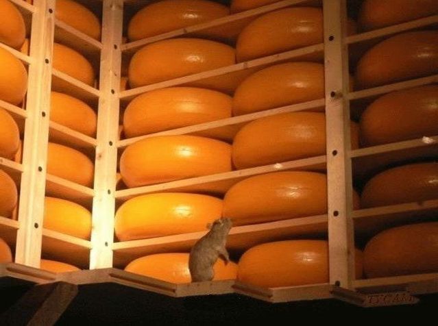 Funny picdump (146 pics)