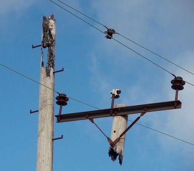 Funny picdump (146 pics)