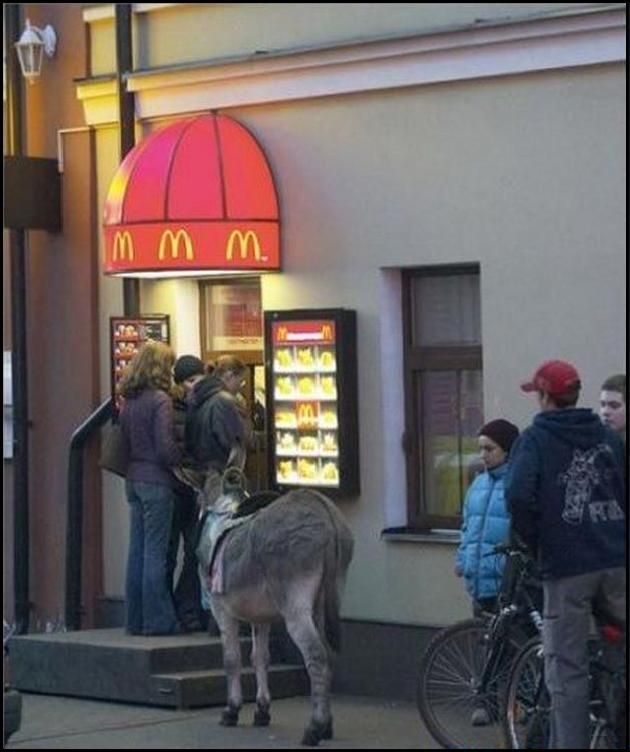 Funny picdump (146 pics)