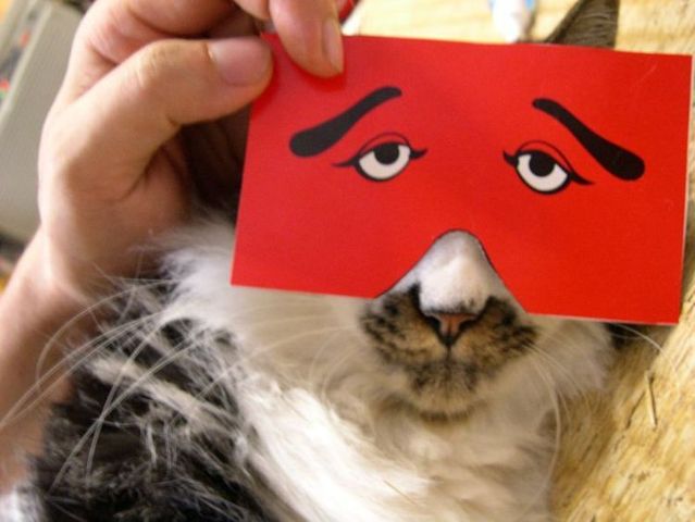 Funny picdump (146 pics)