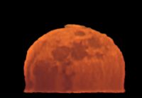 Curiosities and bonus pictures