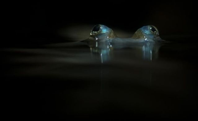 Funny picdump (85 pics)