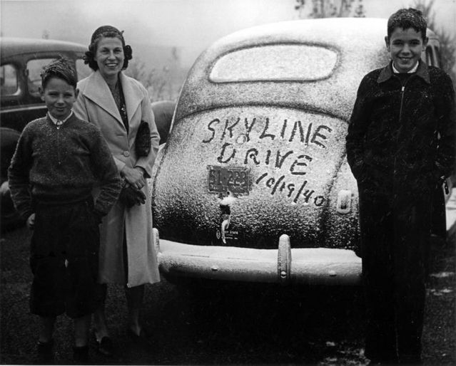 Funny picdump (85 pics)