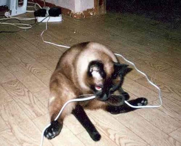 Funny picdump (105 pics)