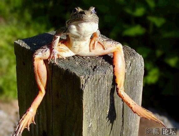 Funny picdump (105 pics)