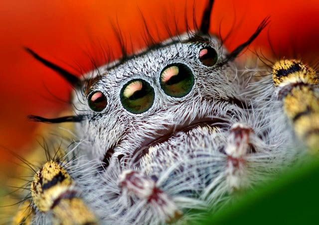 Funny picdump (105 pics)