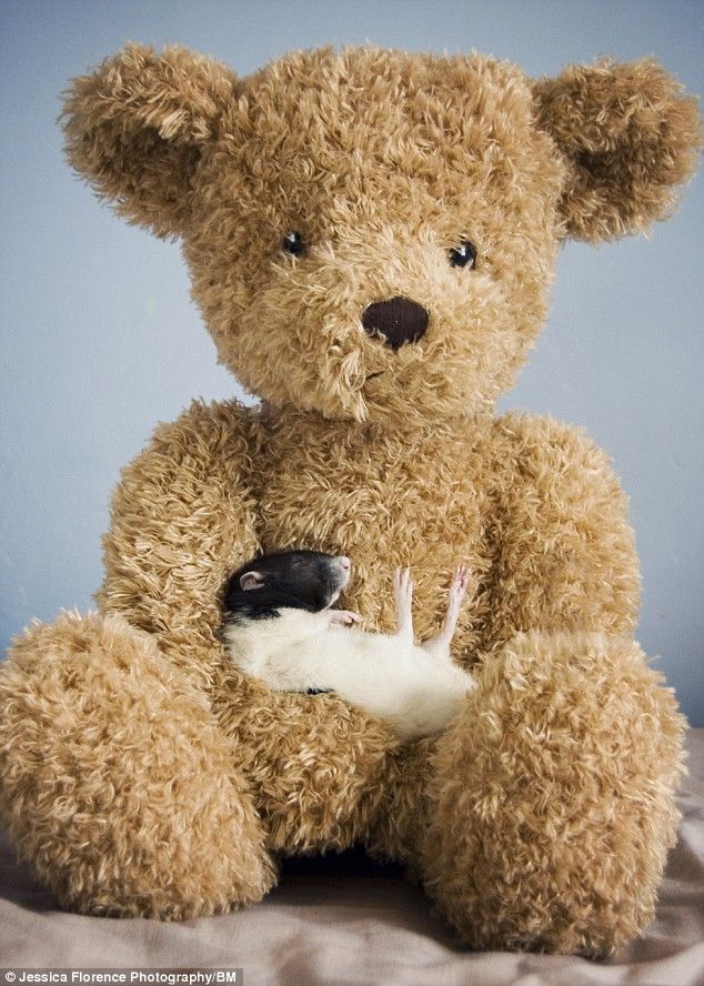 Funny picdump (105 pics)