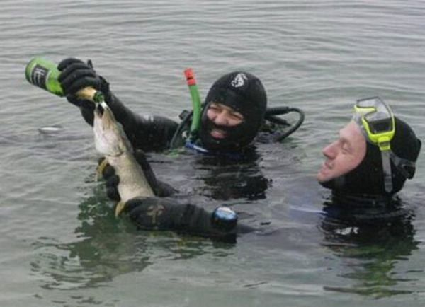 Funny picdump (105 pics)