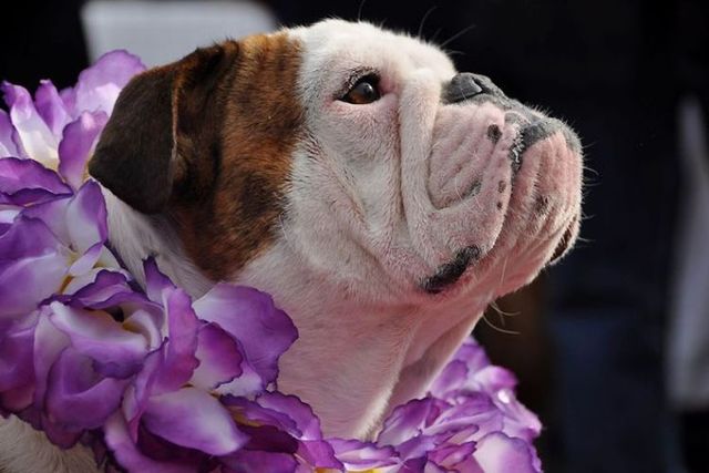 Funny picdump (105 pics)