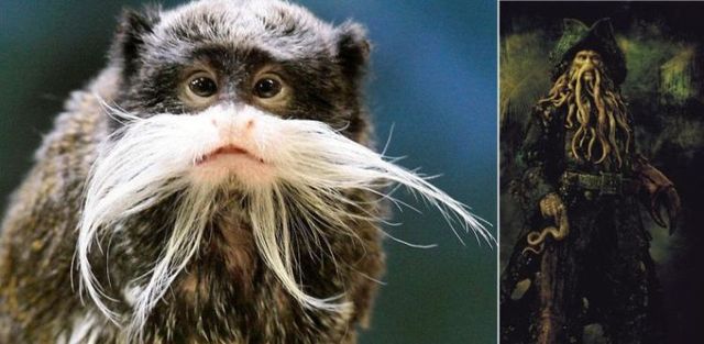 Funny picdump (105 pics)