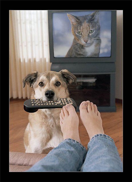 Funny picdump (105 pics)