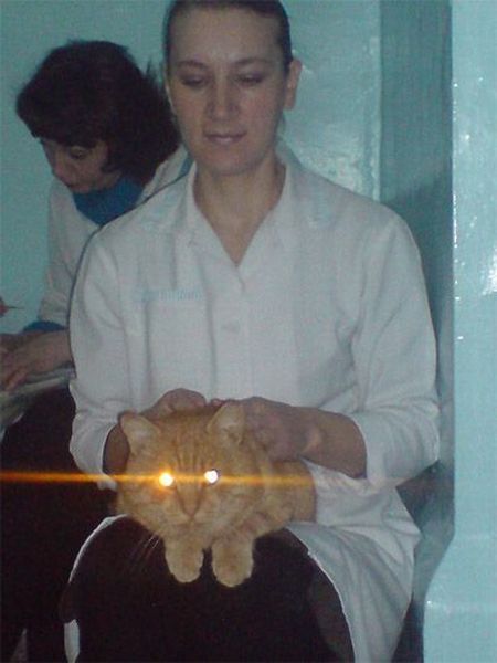 Funny picdump (105 pics)