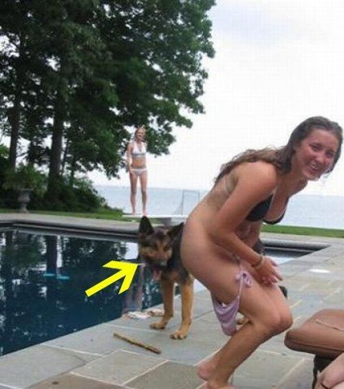 Funny picdump (105 pics)