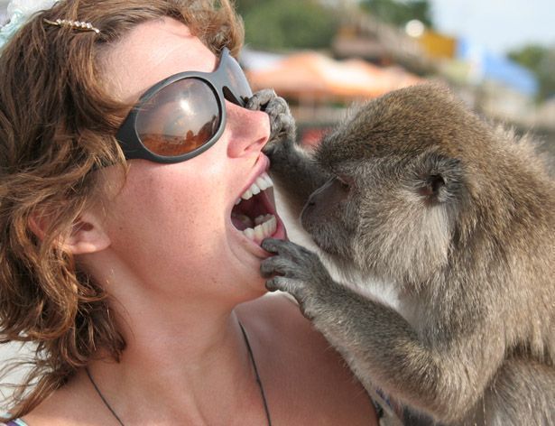 Funny picdump (115 pics)