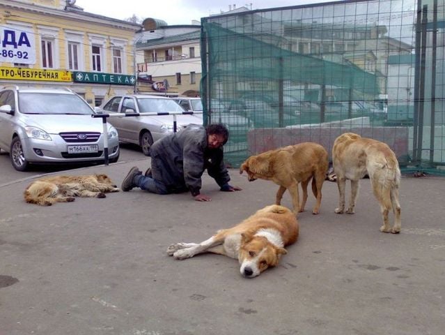 Funny picdump (115 pics)