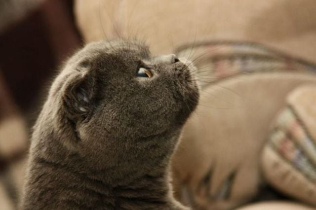 Funny picdump (115 pics)