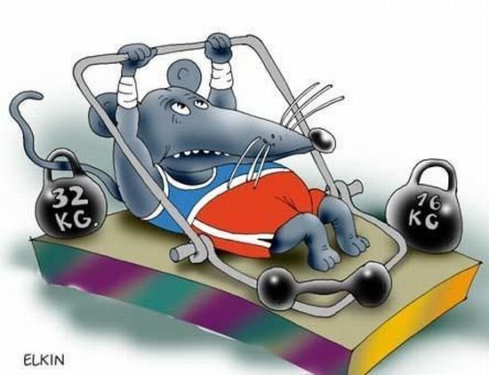 Funny picdump (115 pics)