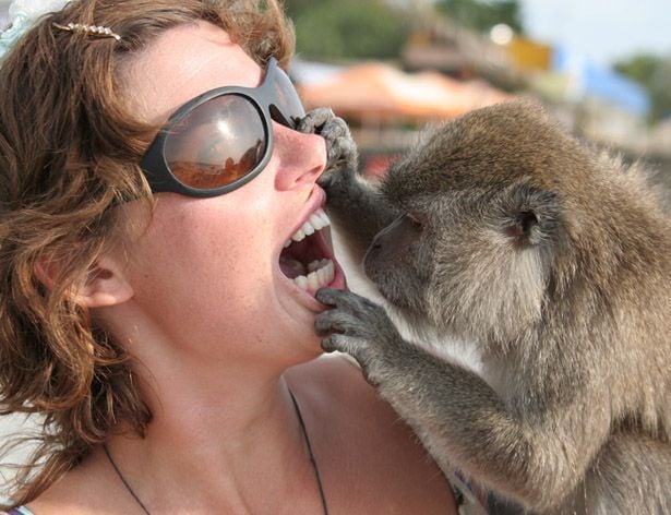 Funny picdump (115 pics)