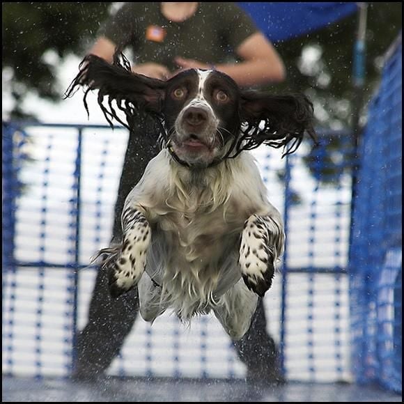 Funny picdump (115 pics)