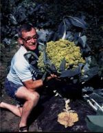 Curiosities and bonus pictures