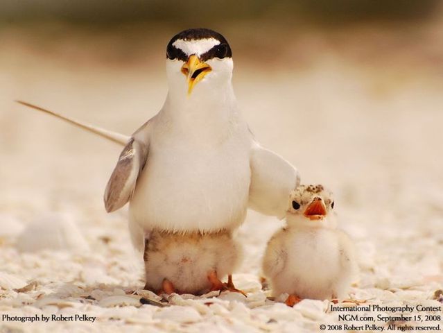 Funny picdump (133 pics)