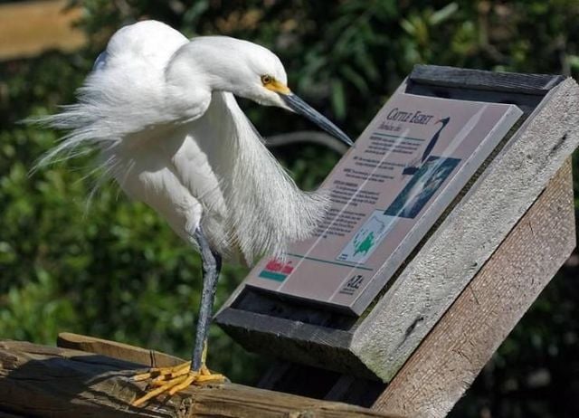 Funny picdump (133 pics)