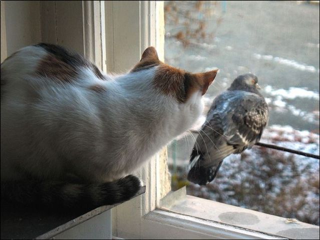 Funny picdump (133 pics)