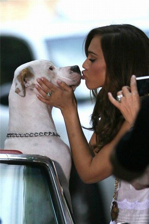 Funny picdump (133 pics)