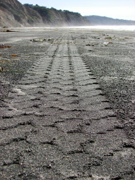 Funny picdump (133 pics)