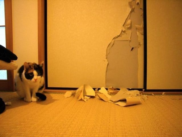 Funny picdump (133 pics)