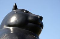 Curiosities and bonus pictures