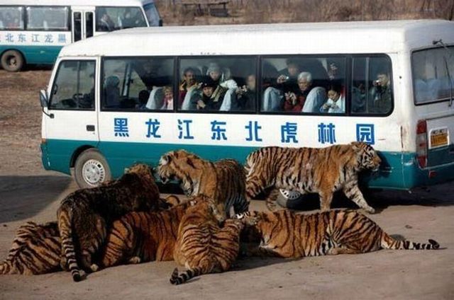 Funny picdump (122 pics)