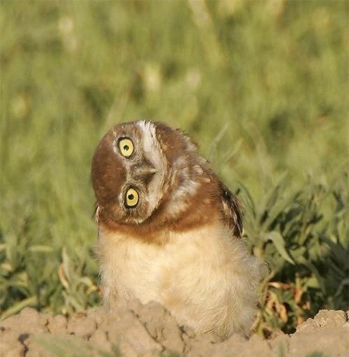 Funny picdump (122 pics)