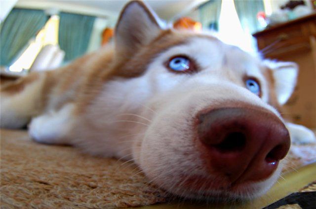 Funny picdump (122 pics)