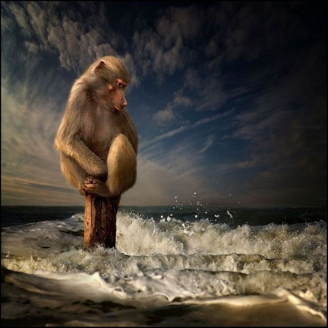 Funny picdump (122 pics)