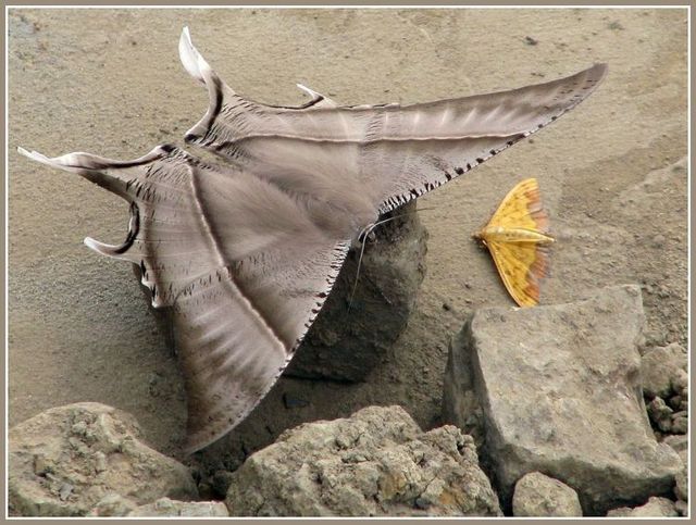 Funny picdump (122 pics)