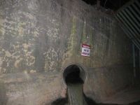 Curiosities and bonus pictures