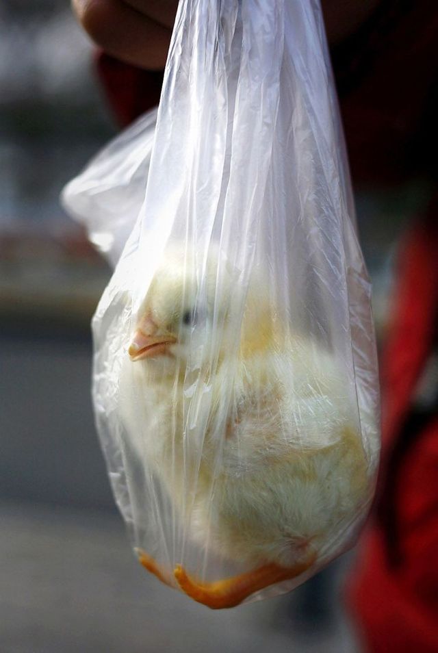 Funny picdump (111 pics)