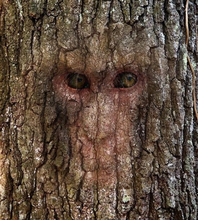 Funny picdump (111 pics)