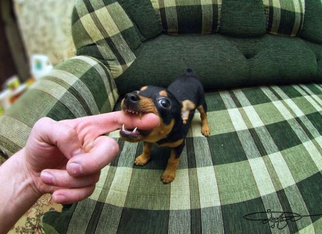 Funny picdump (111 pics)